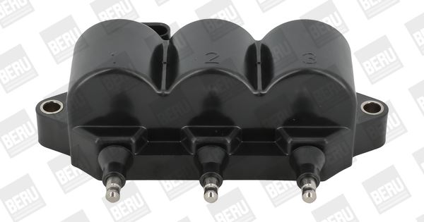 BorgWarner (BERU) ZS539 Ateşleme Sistemi Ateşleme Bobini - CHEVROLET MATIZ (M200, M250) uyumlu