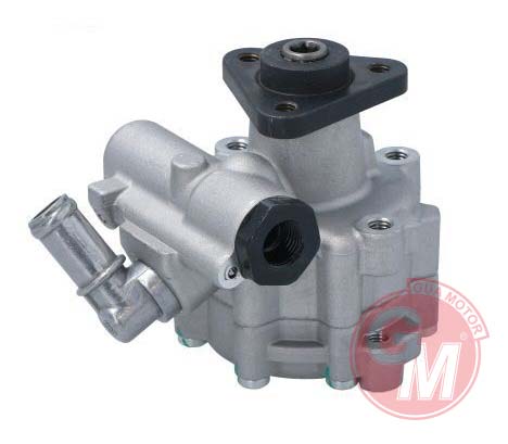 Direksiyon Pompası - GUARNITAUTO - 41081 Ürün Görseli