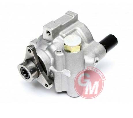 Direksiyon Pompası - GUARNITAUTO - 41085 Ürün Görseli