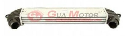 Turbo Radyatörü - GUARNITAUTO - 40710 Ürün Görseli