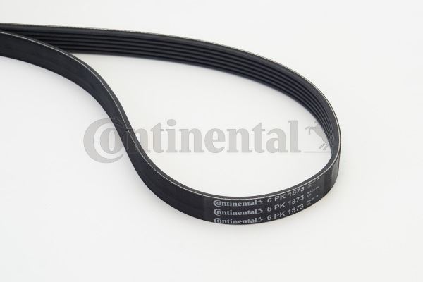 CONTINENTAL CTAM 6PK1873 Motor Kayış - SEAT IBIZA IV (6J5, 6P1) uyumlu
