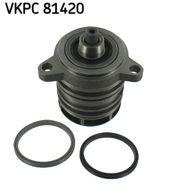 SKF VKPC 81420 Motor Devirdaim - VW TOUAREG (7LA, 7L6, 7L7) uyumlu