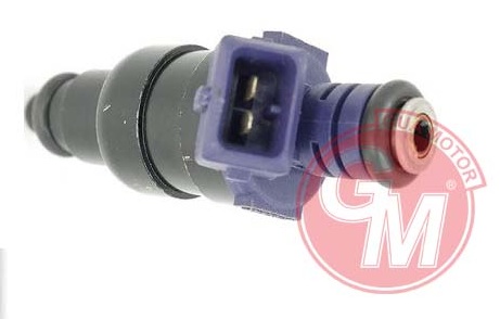 Enjektör Memesi - GUARNITAUTO - 40587 Ürün Görseli