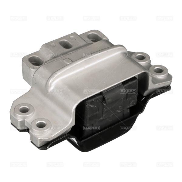 RAPRO R55528 Motor Motor Yataklama - VW JETTA IV (162, 163, AV3, AV2) uyumlu