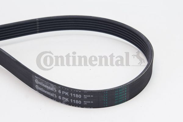 CONTINENTAL CTAM 6PK1180 Motor Kayış - SUZUKI SWIFT IV (FZ, NZ) uyumlu