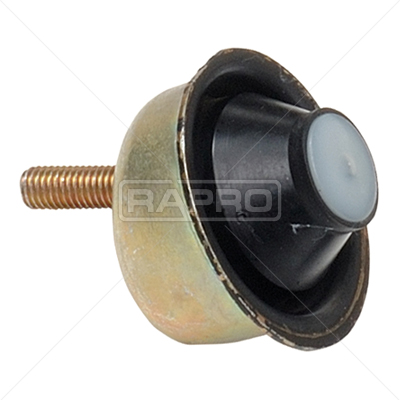 RAPRO R55161 Motor Motor Susturucu - CITROËN XSARA (N1) uyumlu