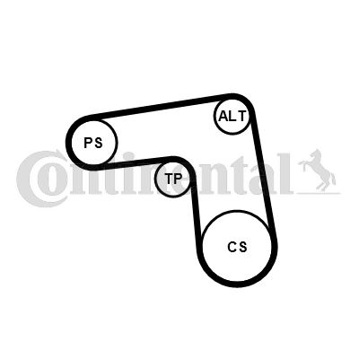 CONTINENTAL CTAM 7PK1076K1 Motor Kayış Kasnağı - FIAT DUCATO Minibüs/Otobüs (250_) uyumlu