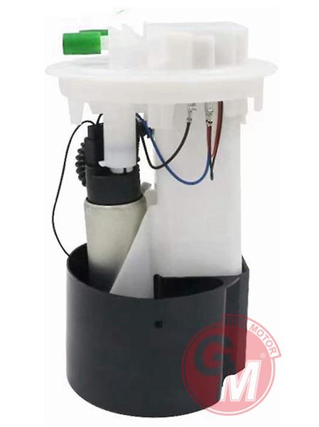 Yakıt Pompası - GUARNITAUTO - 40681 Ürün Görseli
