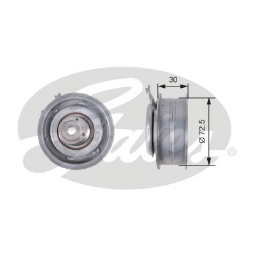 GATES T43010 Motor Kayış Kasnağı - VW GOLF PLUS V (5M1, 521) uyumlu