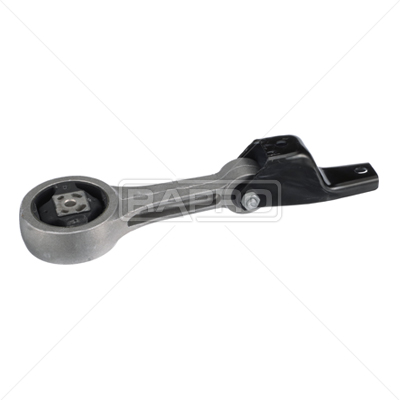 RAPRO R55358 Motor Motor Yataklama - VW POLO IV (9N_, 9A_) uyumlu