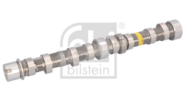 FEBI BILSTEIN 183801 Motor Eksantrik Mili - SUZUKI SWIFT IV (FZ, NZ) uyumlu