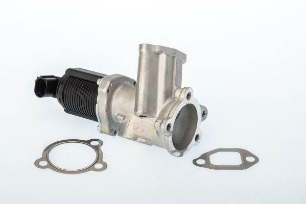 BorgWarner 710949D Motor EGR Parçaları - FIAT PANDA (169_) uyumlu