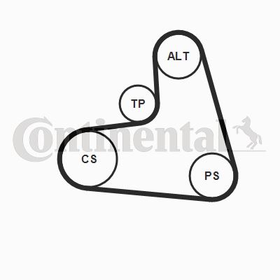 CONTINENTAL CTAM 6PK1120K1 Motor Kayış Kasnağı - VW BORA Variant (1J6) uyumlu