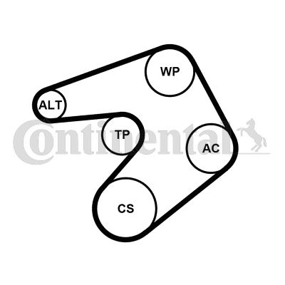 CONTINENTAL CTAM 6PK1205WP1 Motor Kayış Kasnağı - OPEL ASTRA J Sports Tourer (P10) uyumlu