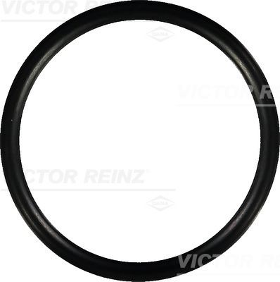 VICTOR REINZ 40-76752-00 Motor Manifold Contası - RENAULT 30 (127_) uyumlu