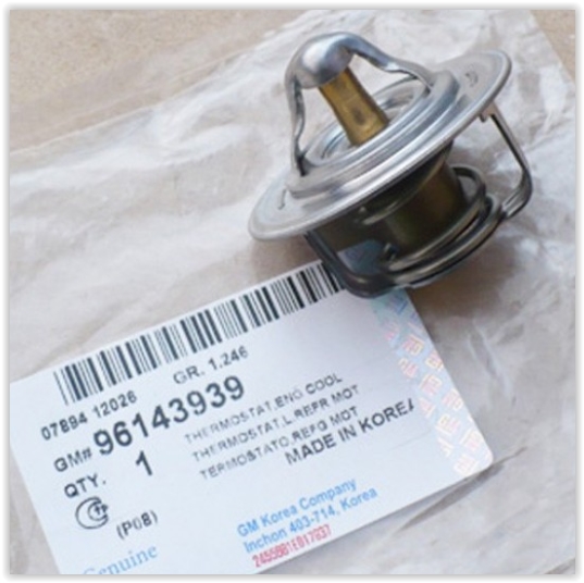 Termostat - GM - 96143939 Ürün Görseli