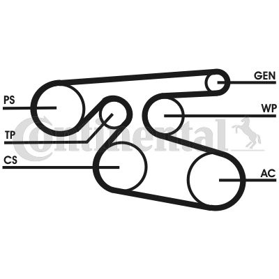CONTINENTAL CTAM 7PK2000 Motor Kayış - MERCEDES-BENZ E-SERISI T-Model (S212) uyumlu