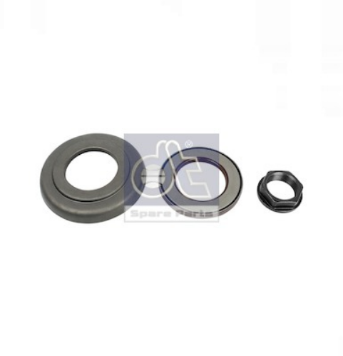 DT Spare Parts 5.93010 Diferansiyel & Aktarma Sistemi Diferansiyel Parçaları
