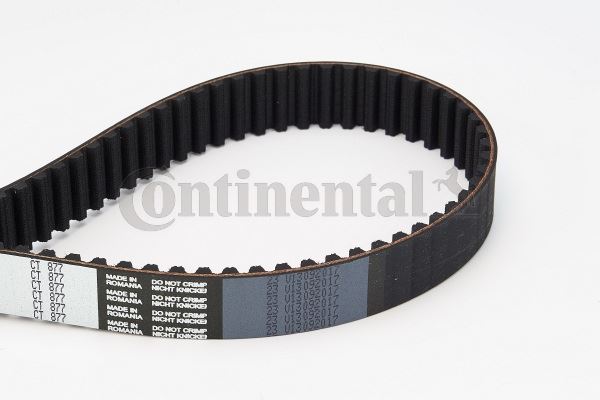 CONTINENTAL CTAM CT877 Motor Kayış - LANCIA KAPPA (838_) uyumlu