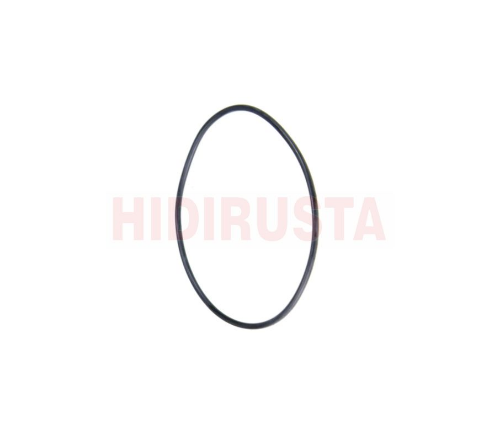 Oring Takımı - EURORICAMBI - 95531938 Ürün Görseli