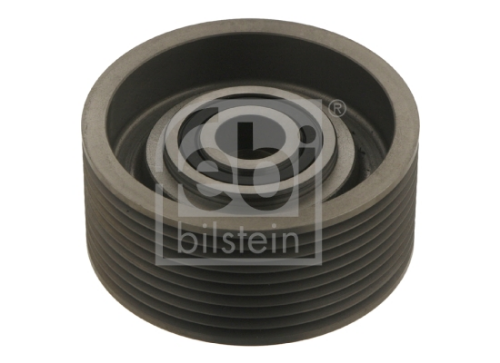 FEBI BILSTEIN 30290 Motor Yönlendirme & Kılavuz Makarası - SETRA Series 400 uyumlu