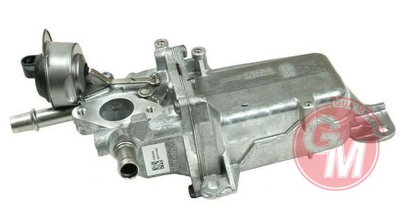 Egr Soğutucusu - GUARNITAUTO - 51127 Ürün Görseli