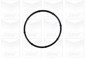 GRAF PA1346 Motor Devirdaim - HYUNDAI i20 II (GB, IB) uyumlu