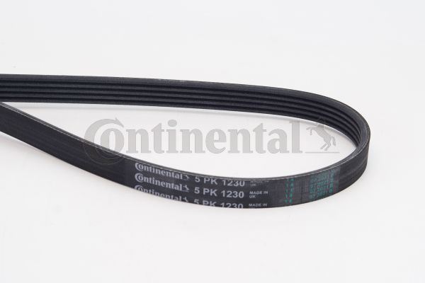 CONTINENTAL CTAM 5PK1230 Motor Kayış - OPEL CORSA D (S07) uyumlu