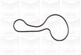 GRAF PA1119 Motor Devirdaim - HONDA JAZZ III (GE_, GG_, GP_, ZA_) uyumlu
