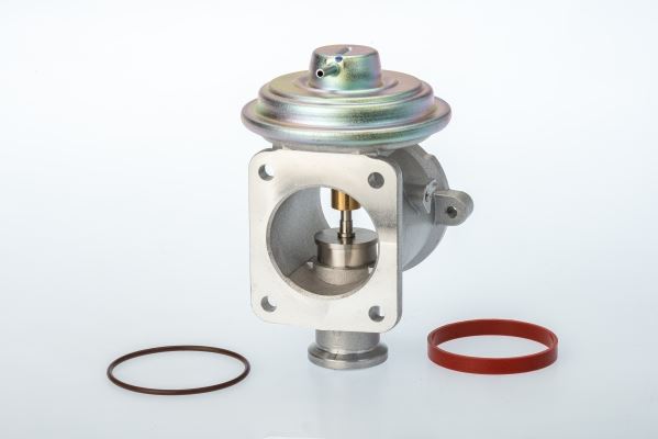 BorgWarner 710924D Motor EGR Parçaları - BMW X3 (E83) uyumlu