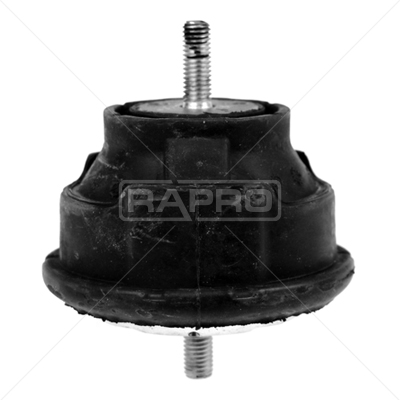 RAPRO R54742 Motor Motor Yataklama - BMW 3 (E46) uyumlu