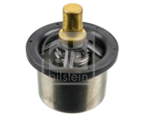 FEBI BILSTEIN 173716 Motor Termostat - MAN TGX I uyumlu