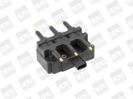 BorgWarner (BERU) ZS456 Ateşleme Sistemi Ateşleme Bobini - DODGE CARAVAN (RG_) uyumlu