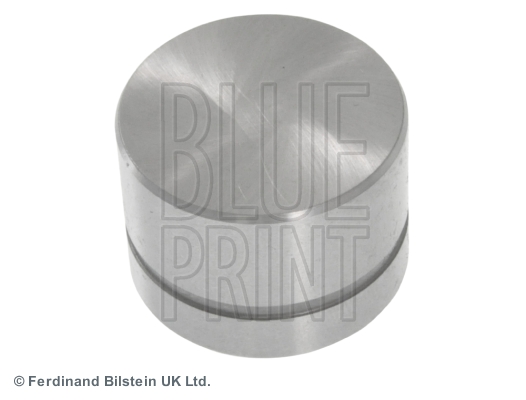 BLUE PRINT ADG06104 Motor Supap Kumandası