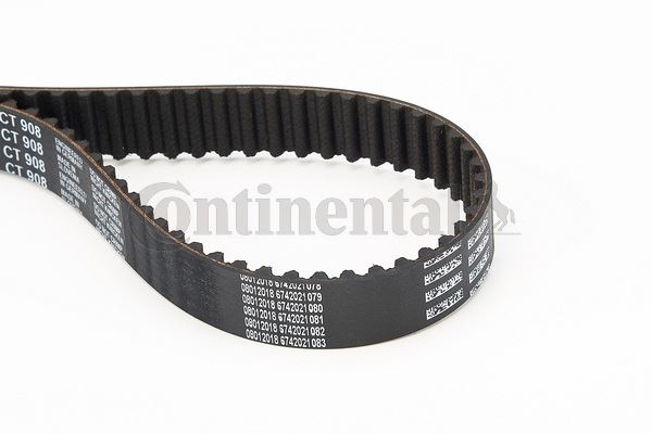 CONTINENTAL CTAM CT908 Motor Kayış - VW GOLF PLUS V (5M1, 521) uyumlu