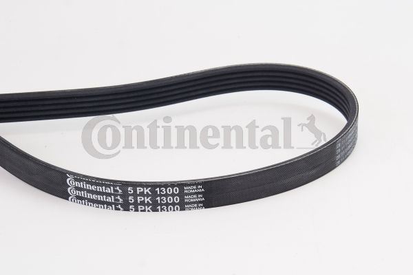 CONTINENTAL CTAM 5PK1300 Motor Kayış - MITSUBISHI LANCER V (CB_A, CD_A, CE_A) uyumlu