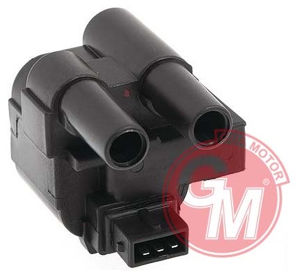 Ateşleme Bobini - GUARNITAUTO - 40560 Ürün Görseli