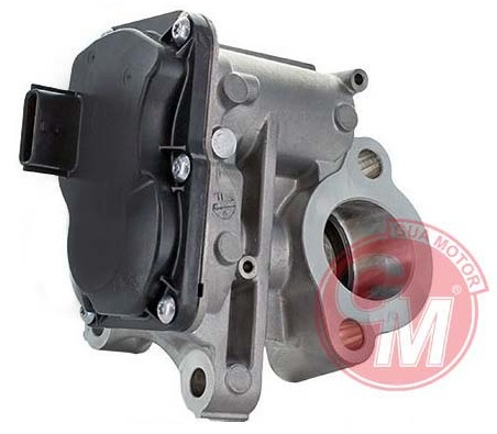 Egr Valfi - GUARNITAUTO - 41134 Ürün Görseli