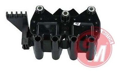 Ateşleme Bobini - GUARNITAUTO - 40444 Ürün Görseli