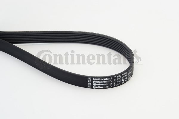 CONTINENTAL CTAM 7PK1970 Motor Kayış - MERCEDES-BENZ G-SERISI (W461) uyumlu