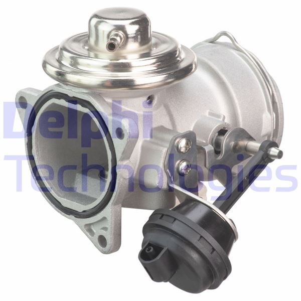 DELPHI EG10420-12B1 Motor EGR Parçaları - AUDI A3 (8L1) uyumlu