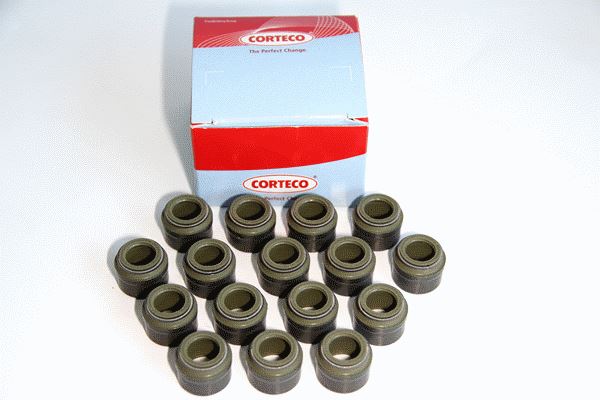 CORTECO 19036976 Motor Supap Kılavuzu & Conta