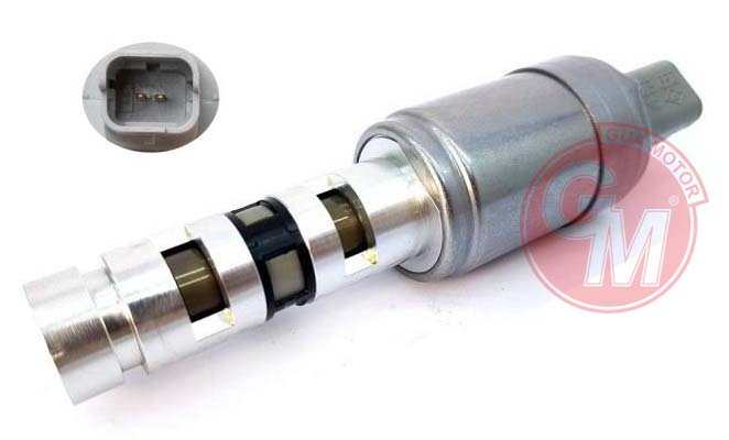 Eksantrik Mili Yağlama Valfi - GUARNITAUTO - 40418 Ürün Görseli