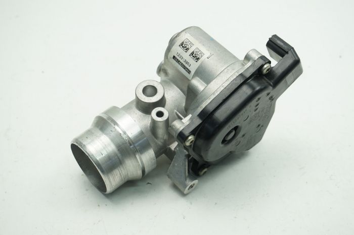 Gaz Kelebeği - RENAULT ORIJINAL - 161A09794R Ürün Görseli