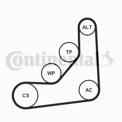 CONTINENTAL CTAM 6PK1153K3 Motor Kayış Kasnağı - BMW 3 (F30, F80) uyumlu