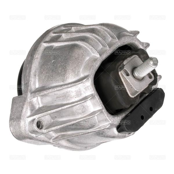 RAPRO R55542 Motor Motor Yataklama - BMW 3 Touring (E91) uyumlu