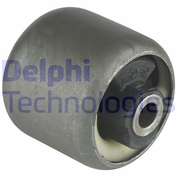 DELPHI TD892W Tekerlek & Aks Parçaları Teker Rulmanı - FORD FIESTA IV (JA_, JB_) uyumlu