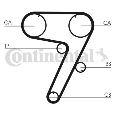 CONTINENTAL CTAM CT931 Motor Kayış - ALFA ROMEO 155 (167_) uyumlu