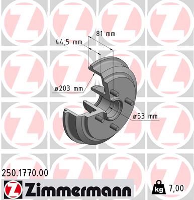 ZIMMERMANN 250.1770.00 Fren Sistemleri Fren Kampanası - FORD FIESTA V (JH_, JD_) uyumlu