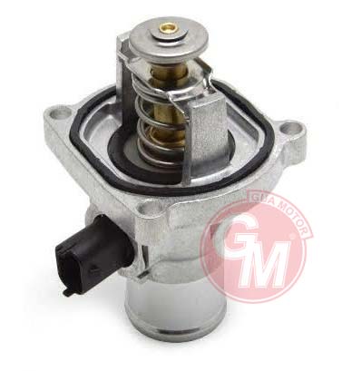 Termostat - GUARNITAUTO - 41828 Ürün Görseli